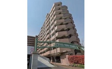 jcityujinamiyuki1