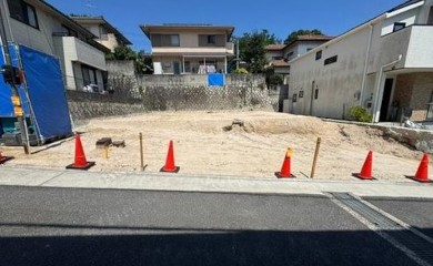 koihigashi1